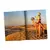 Livres Playmobil - La grande Aventure des animaux avec PLAYMOBIL