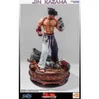 Jin Kazama - TEKKEN 5 (Exclusive)