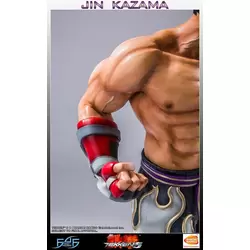 Jin Kazama - TEKKEN 5 (Regular)