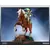 First 4 Figures (F4F) - Link on Epona