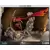 First 4 Figures (F4F) - Monkey King