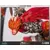 First 4 Figures (F4F) - Monkey King