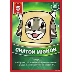 Chaton Mignon