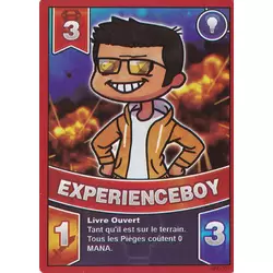 ExperienceBoy
