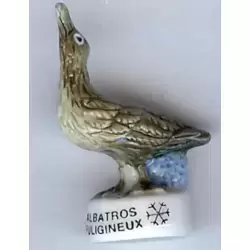 Albatros Fuligineux