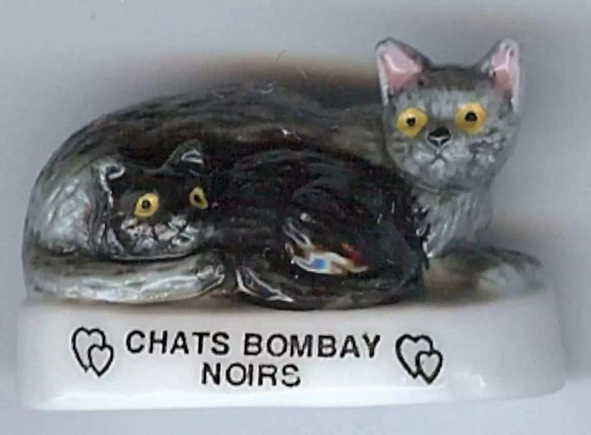 Fèves - Les Chats de Calins - Chats Bombay Noirs