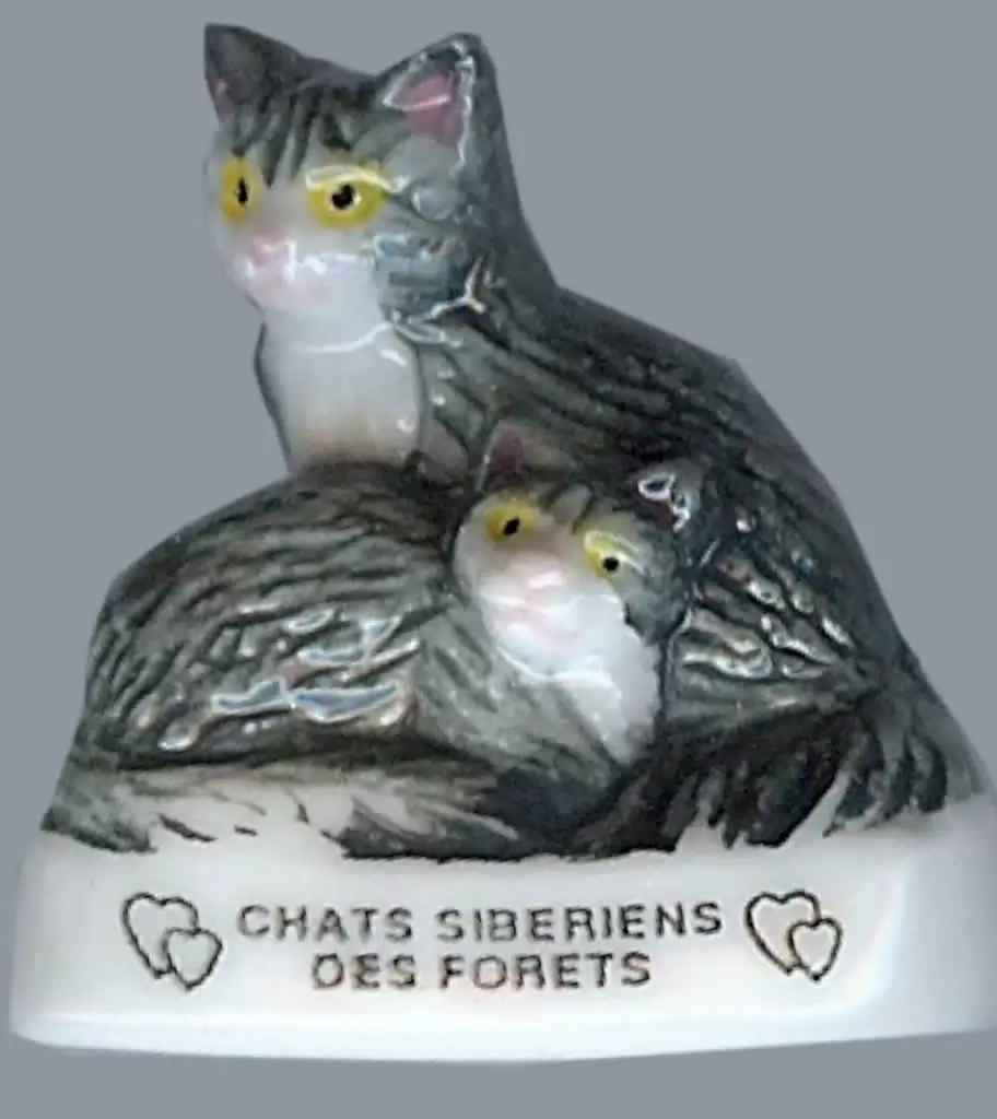 Fèves - Les Chats de Calins - Chats Sibériens des Forêts