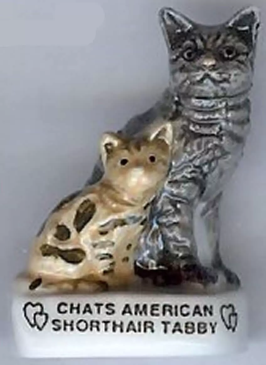 Fèves - Les Chats de Calins - Chats American Shorthait Tabby