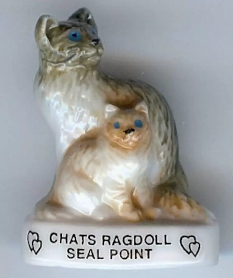 Fèves - Les Chats de Calins - Chats Ragdoll Seal Point