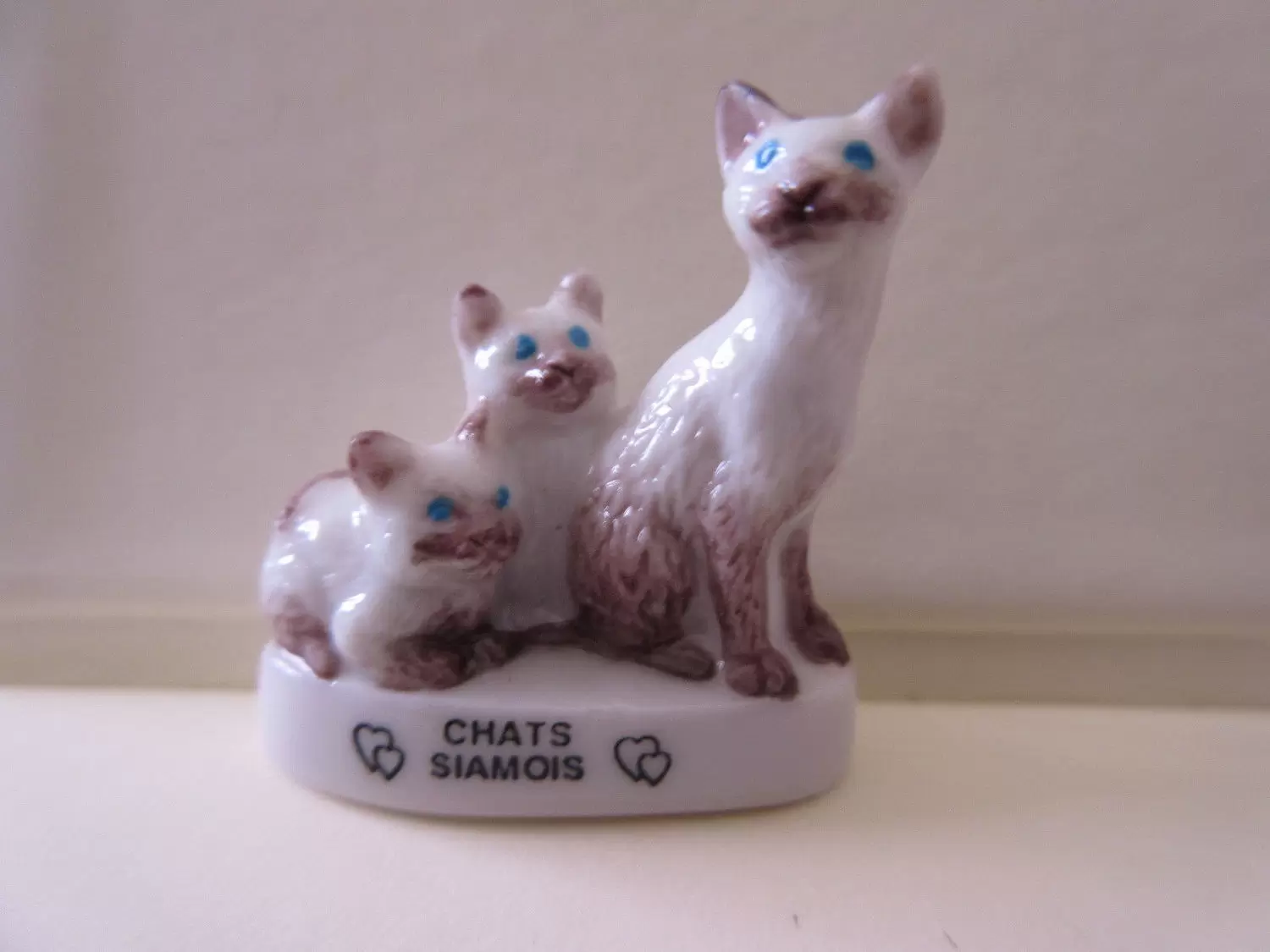 Fèves - Les Chats de Calins - Chats Siamois
