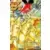 B\'T X - L\'effondrement de la base