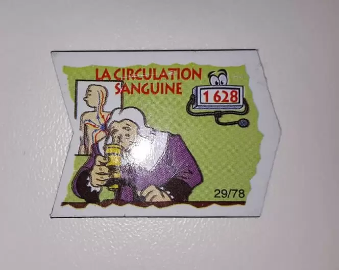 Magnets Le Gaulois - Il était une fois Les Découvreurs - La Circulation Sanguine