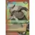 Cartes Naruto Série 03 - Puissances Cachées - Baki