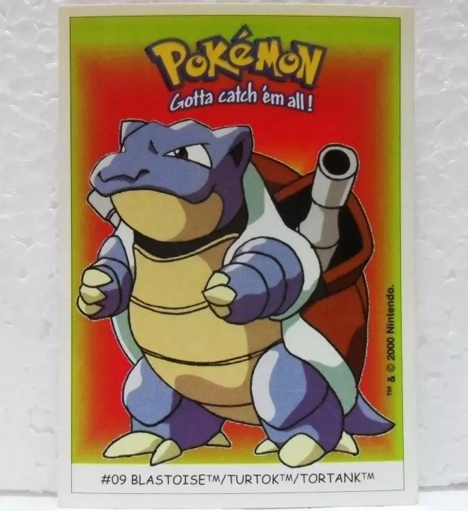 Pokémon - Dunkin Boomer - Tortank