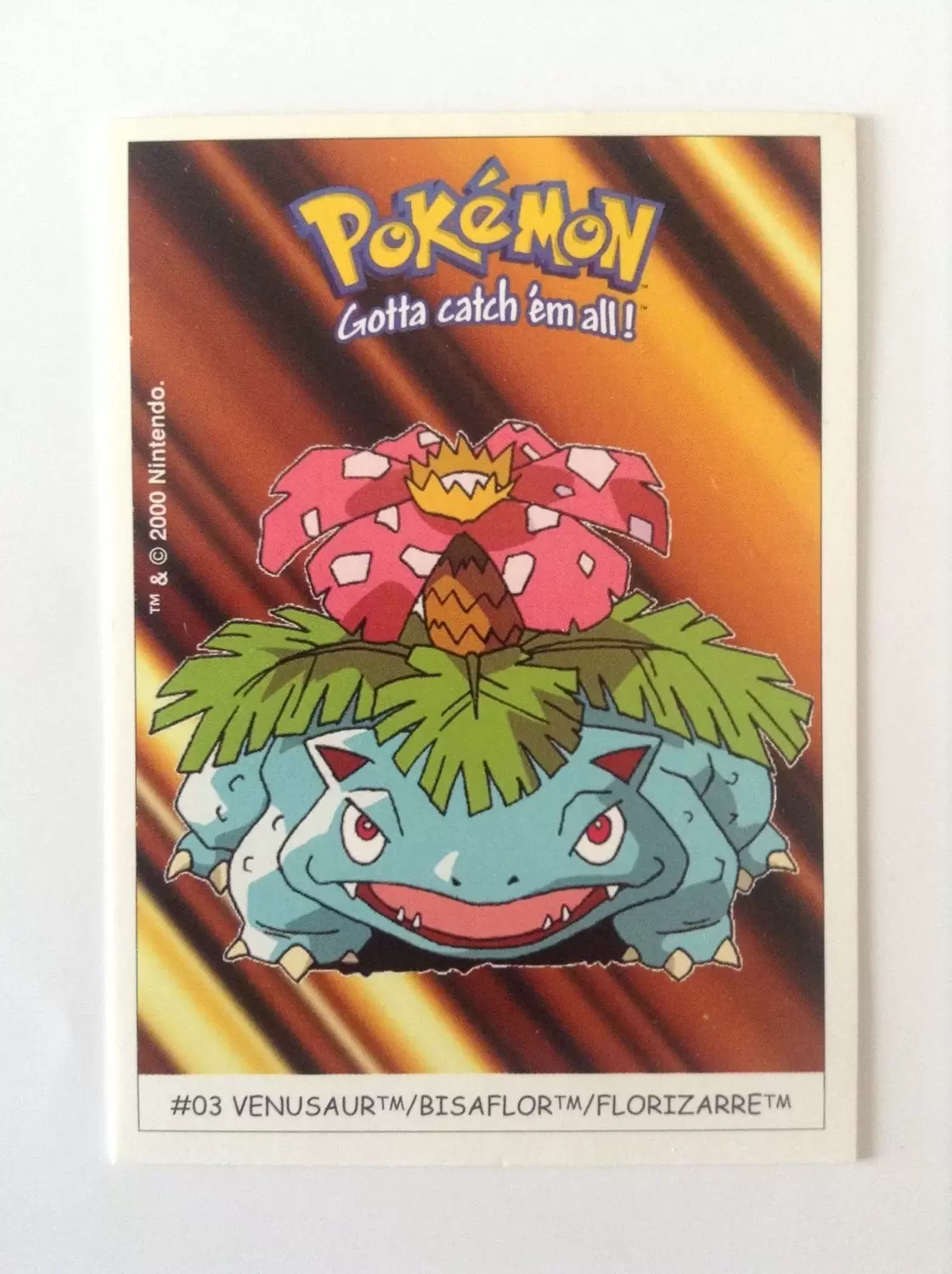 Pokémon - Dunkin Boomer - Florizarre