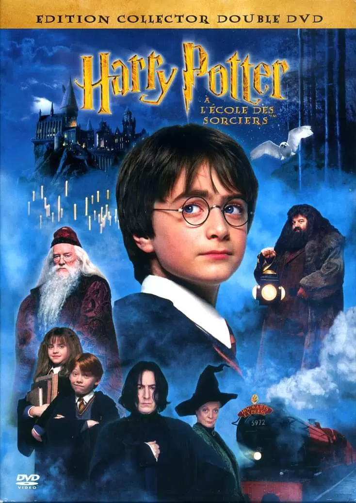 Harry Potter & Fantastic Beasts - Harry Potter à l\'école des sorciers