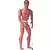 Big Jim Action Figures - Gold Medal Big Jim - US Olympic Champ