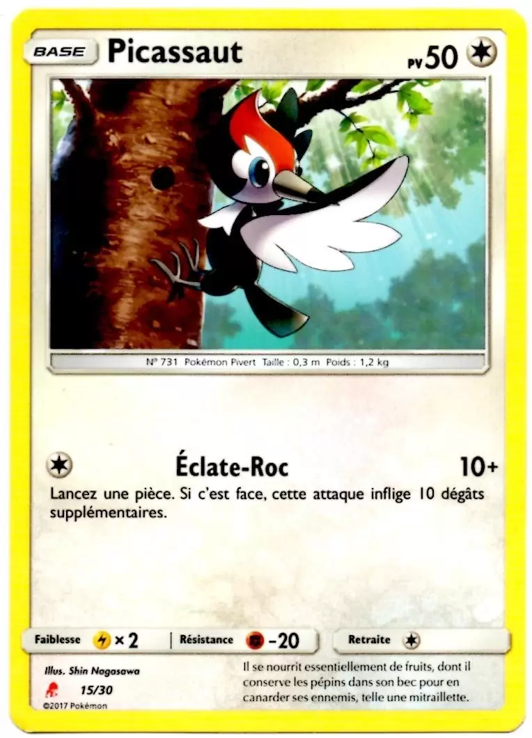 SL Trainer Kit (Lougaroc) - Picassaut