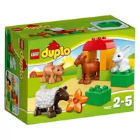 Farm Animals