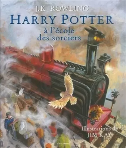 Livres Harry Potter et Animaux Fantastiques - Harry Potter à l\'école des sorciers - Illustré