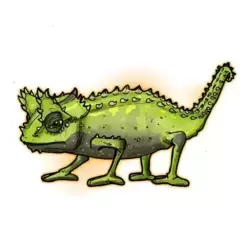 Brookesia Vadoni