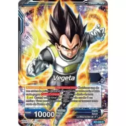 Vegeta // Vegeta Super Saiyan Bleu