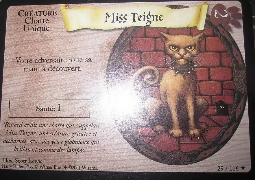 Harry Potter Trading Card Game Base Set (FR) - Miss Teigne