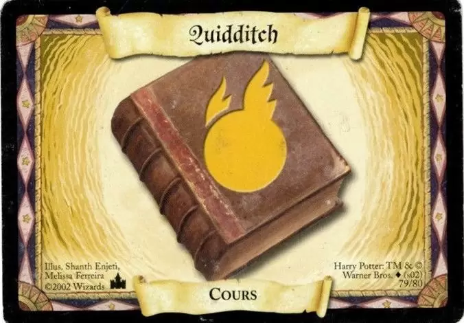 Harry Potter - Aventures à Poudlard - Cours de Quidditch