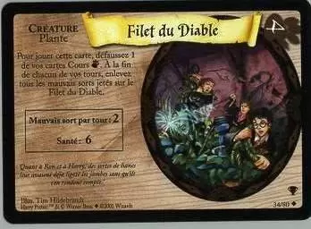 Harry Potter - La Coupe de Quidditch - Filet du diable