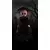 The Girl in Black