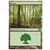 Forêt