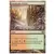 9eme Edition - Forêt de Karpluse