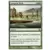 9eme Edition - Moisissure rampante