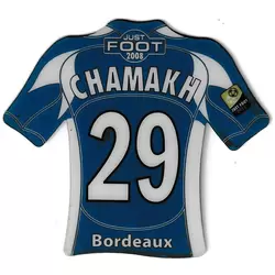 Bordeaux 29 - Chamask