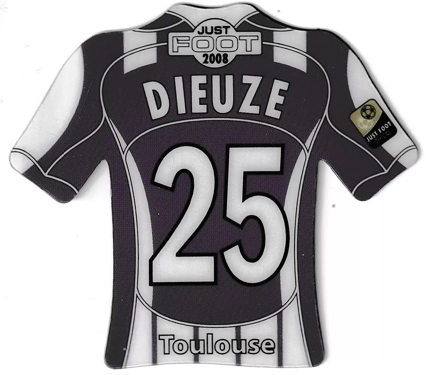 Just Foot 2008 - Toulouse 25 - Dieuze