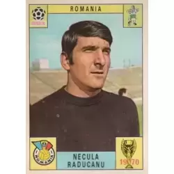 Necula Raducanu - Romania
