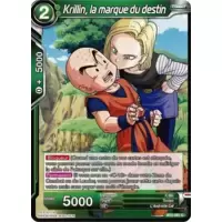 Krillin, la marque du destin