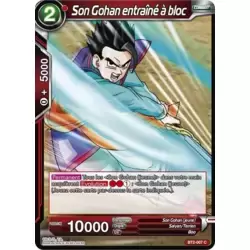 Son Gohan entraîné à bloc