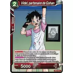 Videl, partenaire de Gohan