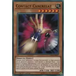 Contact Cancrelat