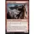 Dominaria - Brigadier kelde