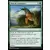 Dominaria - Don de croissance
