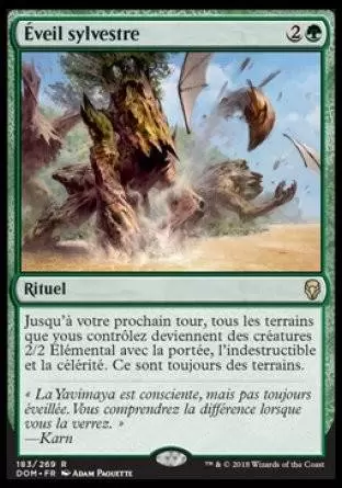 Dominaria - Éveil sylvestre