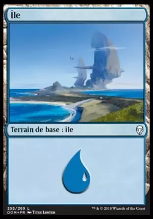 Dominaria - Île