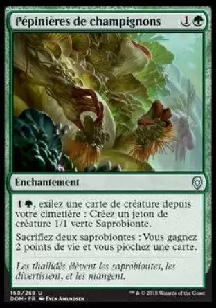 Dominaria - Pépinières de champignons