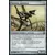 Parasite signaleur
