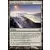 Mirrodin Assiégé - Zone de guerre contestée
