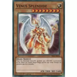 Vénus Splendide
