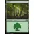 Forêt