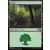 2015 Core Set (M15) - Forêt